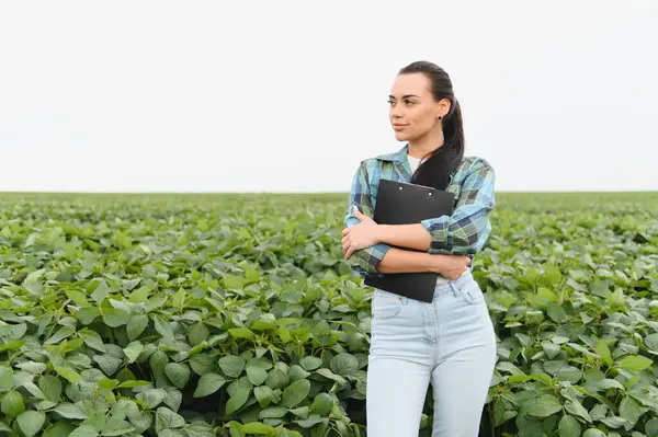 Kendine güvenen kadın tarım mühendisi pano tutuyor, ekili alandaki soya fasulyelerinin büyümesini inceliyor, sağlıklı hasat sağlıyor.