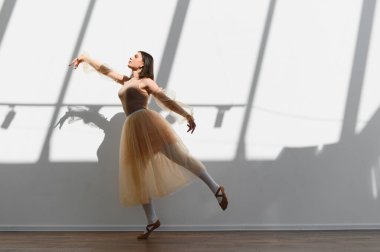 Genç balerin, güneşli bir stüdyoda çalışıyor. Zarif hareketleri duvarda sanatsal gölgeler oluşturuyor.