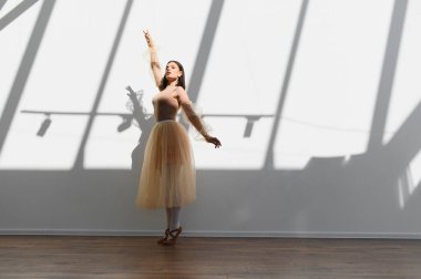 Bir dans stüdyosunda bale pratiği yapan zarif bir balerin pencereden gölgeler düşürerek sanatsal ve huzurlu bir atmosfer yaratıyor.