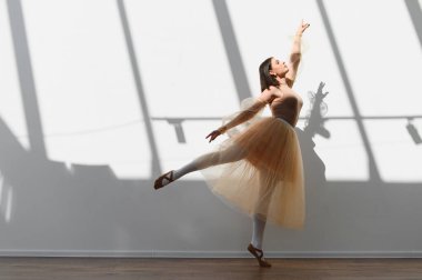 Balerin güneşli bir stüdyoda zarif bir şekilde dans ediyor. Hareketleri akıcı ve zarif ve sanatını icra ediyor.