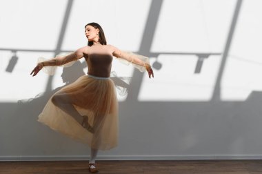 Bir dans stüdyosunda bale pratiği yapan zarif bir balerin. Pencereden gölgeler düşüren doğal ışıkla aydınlatılmış. Huzurlu ve sanatsal bir atmosfer yaratıyor.