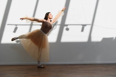 Zarif balerin, güneşli bir stüdyoda dans ederek duvarda sanatsal gölgeler yaratıyor.