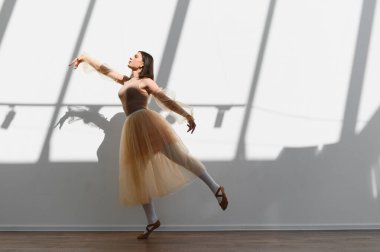 Genç balerin, güneşli bir stüdyoda çalışıyor. Zarif hareketleri duvarda sanatsal gölgeler oluşturuyor.