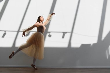 Bir dans stüdyosunda bale pratiği yapan zarif bir balerin. Büyük bir pencereden gölgeler düşüren doğal ışıkla aydınlatılmış.