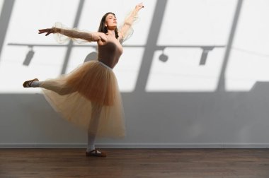 Bir dans stüdyosunda bale pratiği yapan zarif bir balerin, doğal ışıkla aydınlatılmış, etekli ve sivri ayakkabılı.