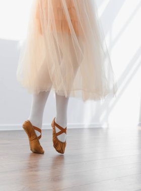 Genç balerin bir dans stüdyosunda bale çalışıyor. Zarafet ve zarafeti her akışkan hareket ve dengeli pozisyonda somutlaştırıyor.