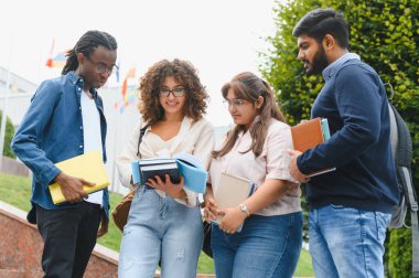 Group of multiethnic young university students engaging in discussions and learning outdoors on campus