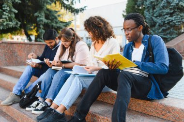 Çeşitli üniversite öğrencilerinden oluşan bir grup dışarıda öğrenim görüyor, üniversite basamaklarında oturuyor, ders kitaplarına ve defterlerine odaklanıyor.