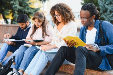 Bir grup çok ırklı üniversite arkadaşı açık havada oturuyor, kitap okuyor ve kapsamlı bir eğitim ortamında öğreniyor.