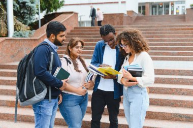Group of multicultural students collaborating on study materials outdoors at a university, representing education and teamwork
