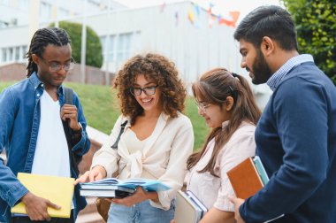 Group of multi ethnic university students discussing academic material outdoors, representing modern education and teamwork