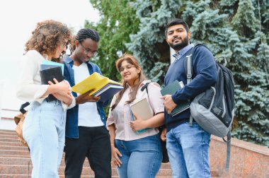 Group of multi ethnic students standing on steps, holding books and discussing schoolwork in an outdoor campus setting