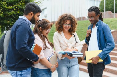 Group of multicultural students collaborating and sharing knowledge on university campus, fostering education and friendship