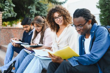 Diverse group of college students sitting on campus steps, reading books and collaborating on an academic project, learning outdoors