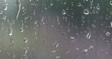 Rain drops on bay window with vegetation environment on background