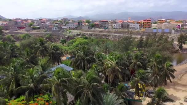 Ptaka Tarrafal Beach Santiago Wyspy Zielonego Przylądka Cabo Verde — Wideo stockowe