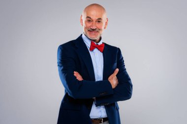 Gri arka planda duran kendine güvenen iş adamının portresi. Gülümseyen profesyonel erkek takım elbiseli ve papyonlu. Boşluğu kopyala. 