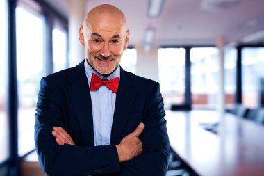 Executive businessman wearing suit and bow tie while standing at the office befor business meeting.
