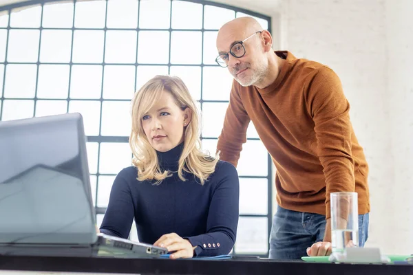 Group of business people working together in the office. Blond haired bussinesswoman and mid aged businessman using laptop for work. Teamwork.