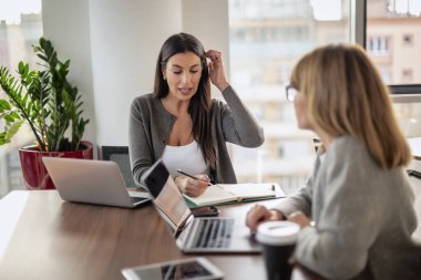 Bir grup iş arkadaşı masanın etrafında oturuyor ve iş toplantısı yapıyorlar. Orta yaşlı iş adamları dizüstü bilgisayar kullanıyor ve tartışıyorlardı. Takım çalışması.. 