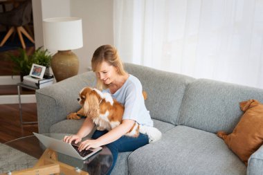 Güzel bir kadın evde rahatlatıcı bir günün tadını çıkarıyor. Sarı saçlı kadın rahat bir kanepede köpeğiyle oturuyor ve not defteri kullanıyor. Merkez Ofis. 
