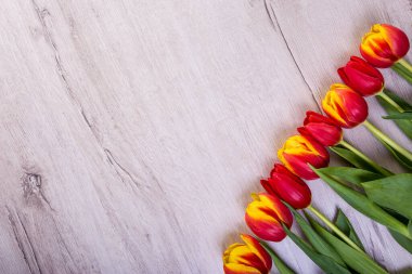 Beyaz ahşap zemin üzerinde güzel Lale