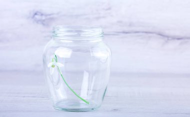 Ahşap arka planda yeşil yapraklı kavanoz