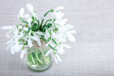 Ahşap bir arka planda vazoda beyaz kar damlaları