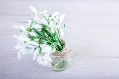 Tahta bir arka planda bahar kardelen çiçekleri