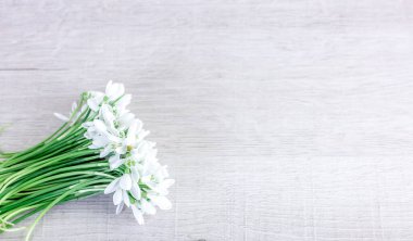 ahşap arka plan üzerinde beyaz bahar çiçekleri