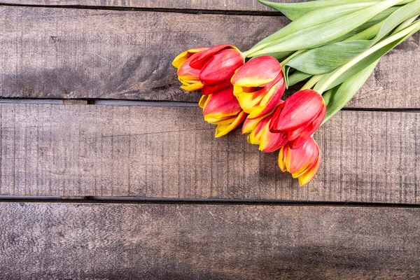 stock image beautiful tulips on wooden background