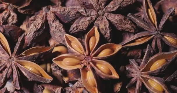 干枯的星形茴香果实和种子闭合完整的框架 作为转盘桌上的背景 — 图库视频影像