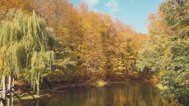 Літати Над Озером Осінньому Лісі — стокове відео