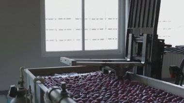 Daha fazla sıralama ve satış için elma yıkama