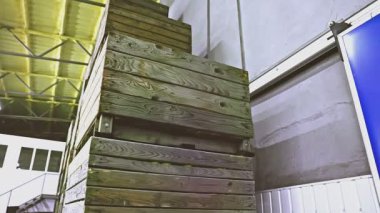 Kutularda bir sürü elma var.