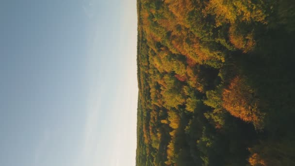 Barevně Malované Stromy Trávníku Podzimní Sezóně — Stock video