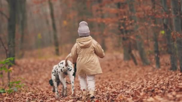 Sonbahar Parkında Köpeği Gezdiren Kız — Stok video