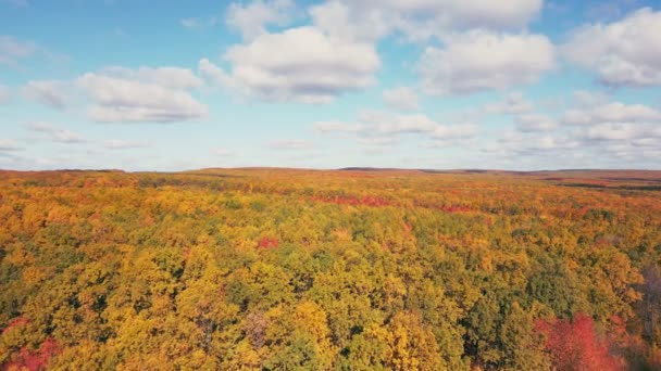 Herbst Wald Und Himmel Luftaufnahme — Stockvideo
