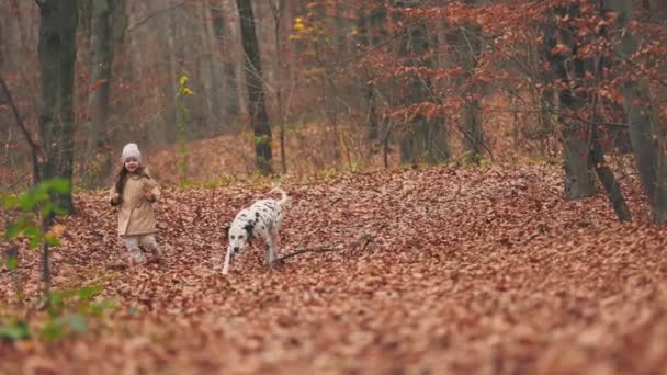 Girl Walking Dog Autumn Park — Stock Video