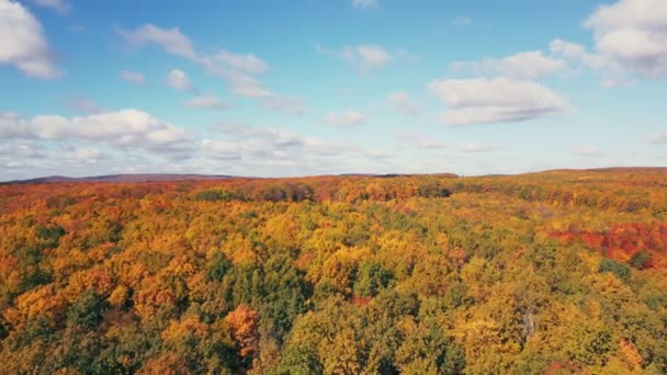 Herbst Wald Und Himmel Luftaufnahme — Stockvideo