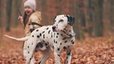 Sonbahar parkında köpeği gezdiren kız.