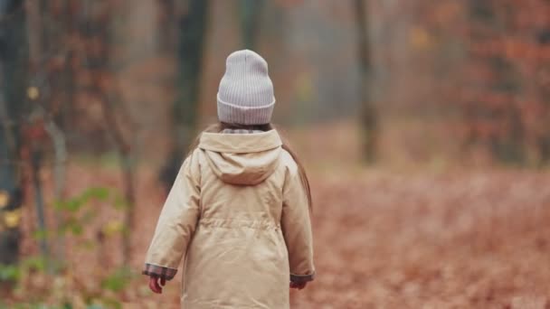 Gadis Kecil Berjalan Melalui Hutan Musim Gugur — Stok Video