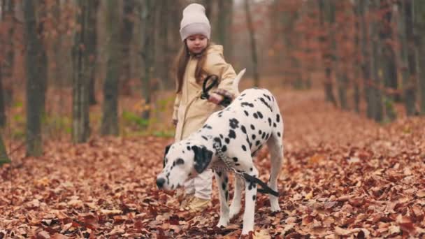 Девушка Гуляет Собакой Осеннем Парке — стоковое видео
