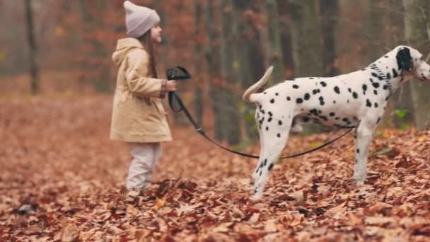 Sonbahar Parkında Köpeği Gezdiren Kız — Stok video