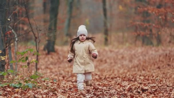 Little Girl Running Autumn Forest — Stock Video