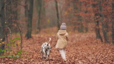 Sonbahar parkında köpeği gezdiren kız.