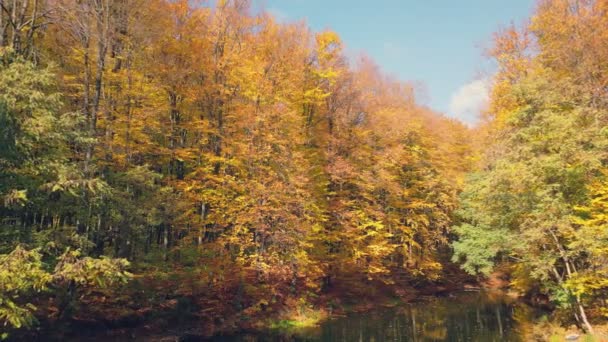 Λίμνη Φθινόπωρο Δάσος Ηλιόλουστο Καιρό — Αρχείο Βίντεο
