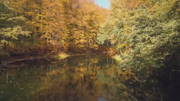 Jezioro Jesiennym Lesie Słonecznej Pogodzie — Wideo stockowe