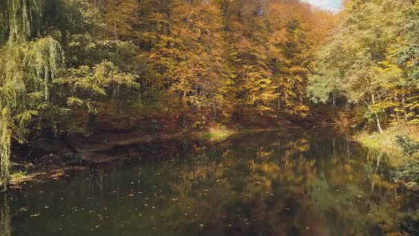 Jezioro Jesiennym Lesie Słonecznej Pogodzie — Wideo stockowe