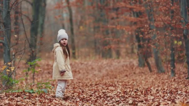 Küçük Kız Sonbahar Ormanında Yürüyor — Stok video